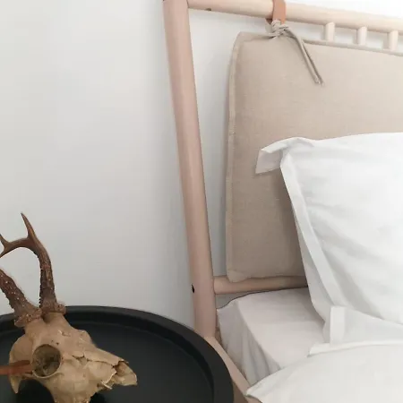 Apartment Life Coresi